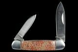 Pocketknife With Fossil Dinosaur Bone (Gembone) Inlays - Blade #127556-1